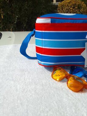 Bundle sunglasses&beach/lunch/insulated/cold-hot-control bag shoulder strape NWT